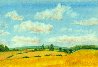 A view of Hertfordshire from Bibsworth Hall farm in the UK