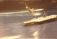 F14 Nimitz
