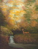 Fawn in forest