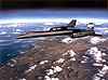 Blackbird