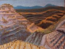 Vasa Vines