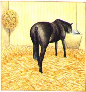 Manger