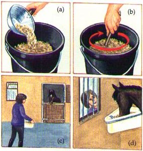 Feeding