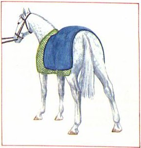 Azoturia