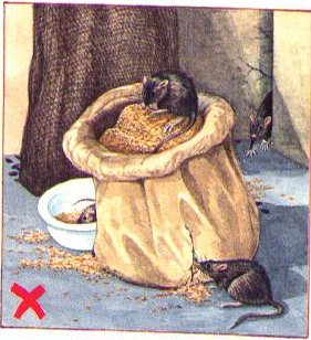 Vermin
