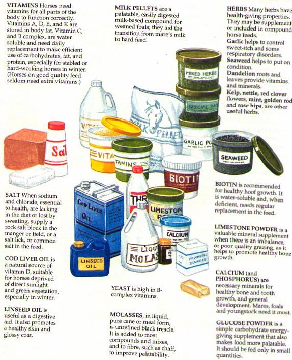 Supplementart Diet