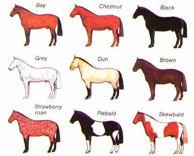 Select a type