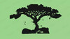 13-tree.jpg