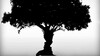 55-Tree-or-faces.jpg
