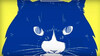 59-Cat-or-mouse.jpg