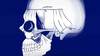 61-Skull-or-woman-at-the-window.jpg