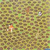 where_is_the_butterfly.webp